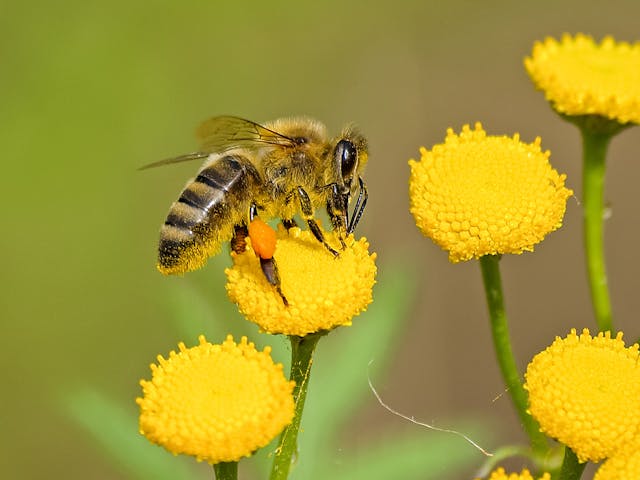 different types of allergies